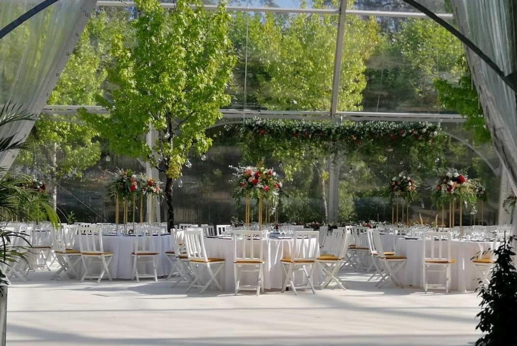 Hotel Termas Da Curia Eksteriør bilde
